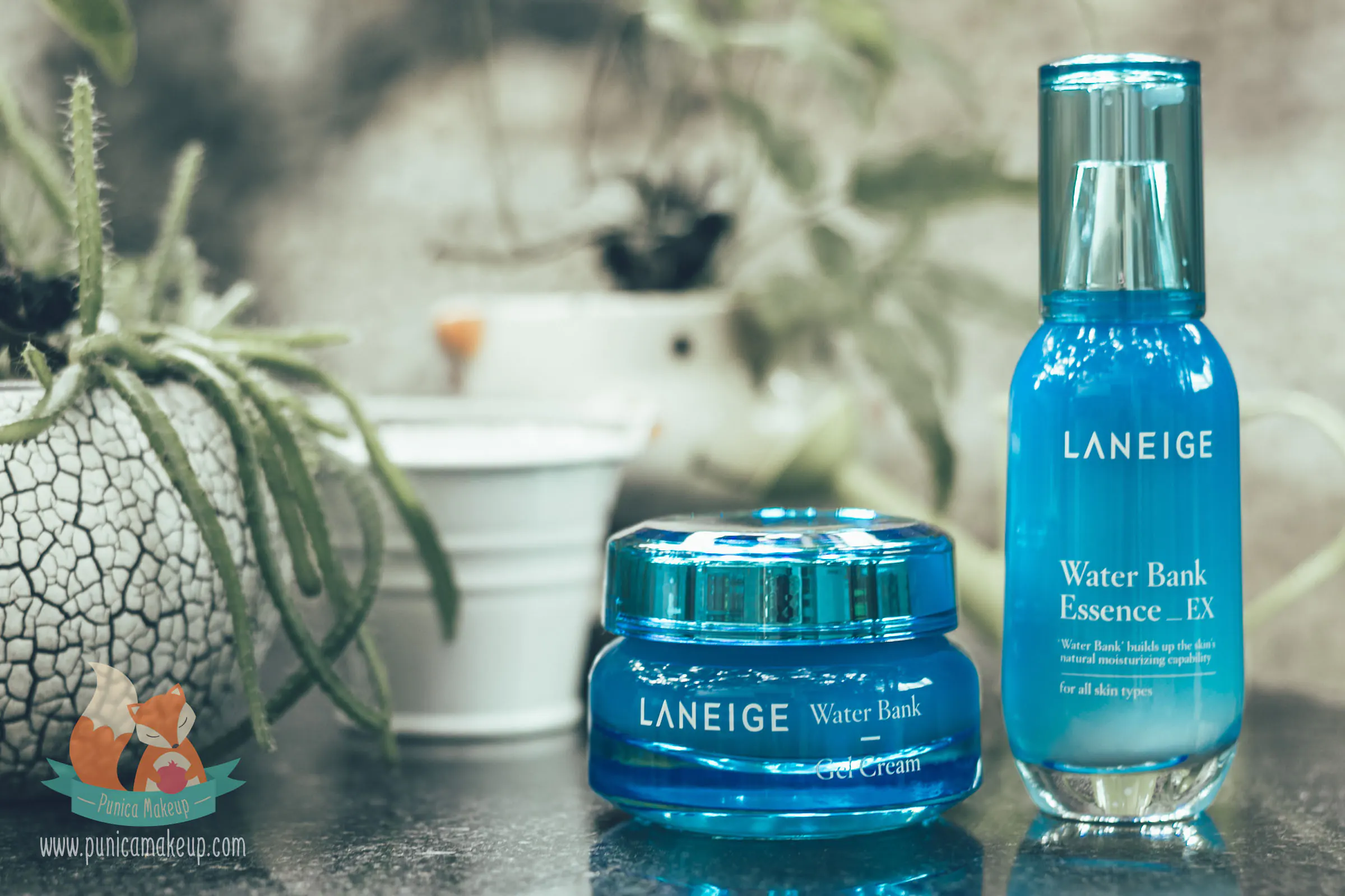 Laneige Water Bank Essence EX and Water Bank Gel Cream